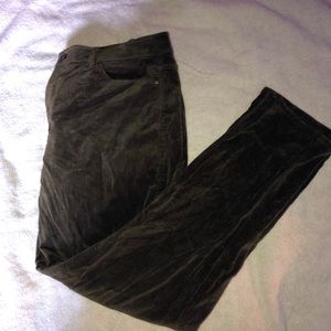 J.Jill Velvet Pants